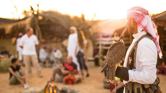 Exclusive Platinum Desert Safari – Premium desert adventure